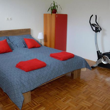 Šenčur Apartma Vidmar מראה חיצוני תמונה