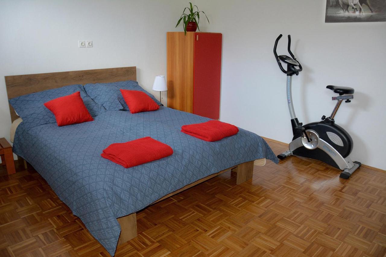Šenčur Apartma Vidmar מראה חיצוני תמונה